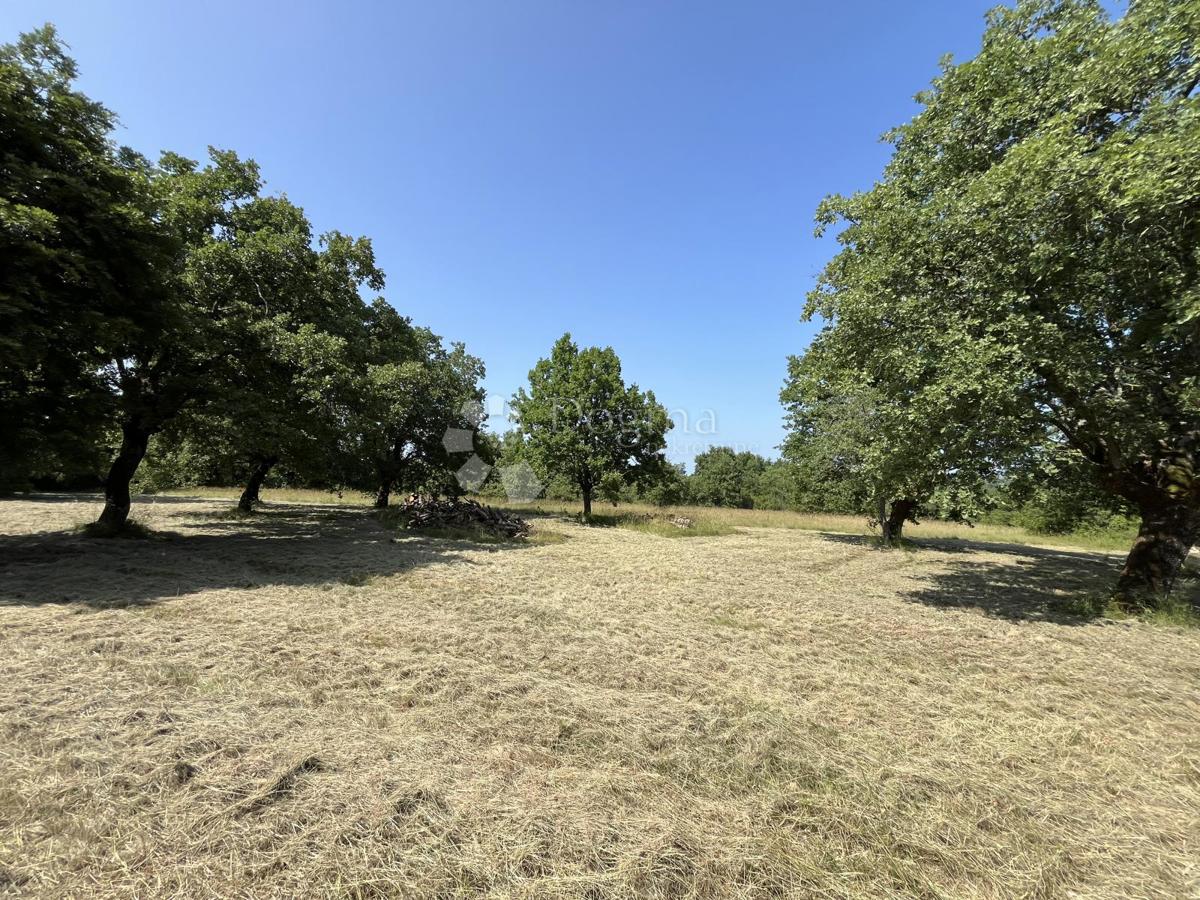 TERRENO CON PROGETTO PER LA COSTRUZIONE DI UNA CASA VICINO A VIŠNJAN