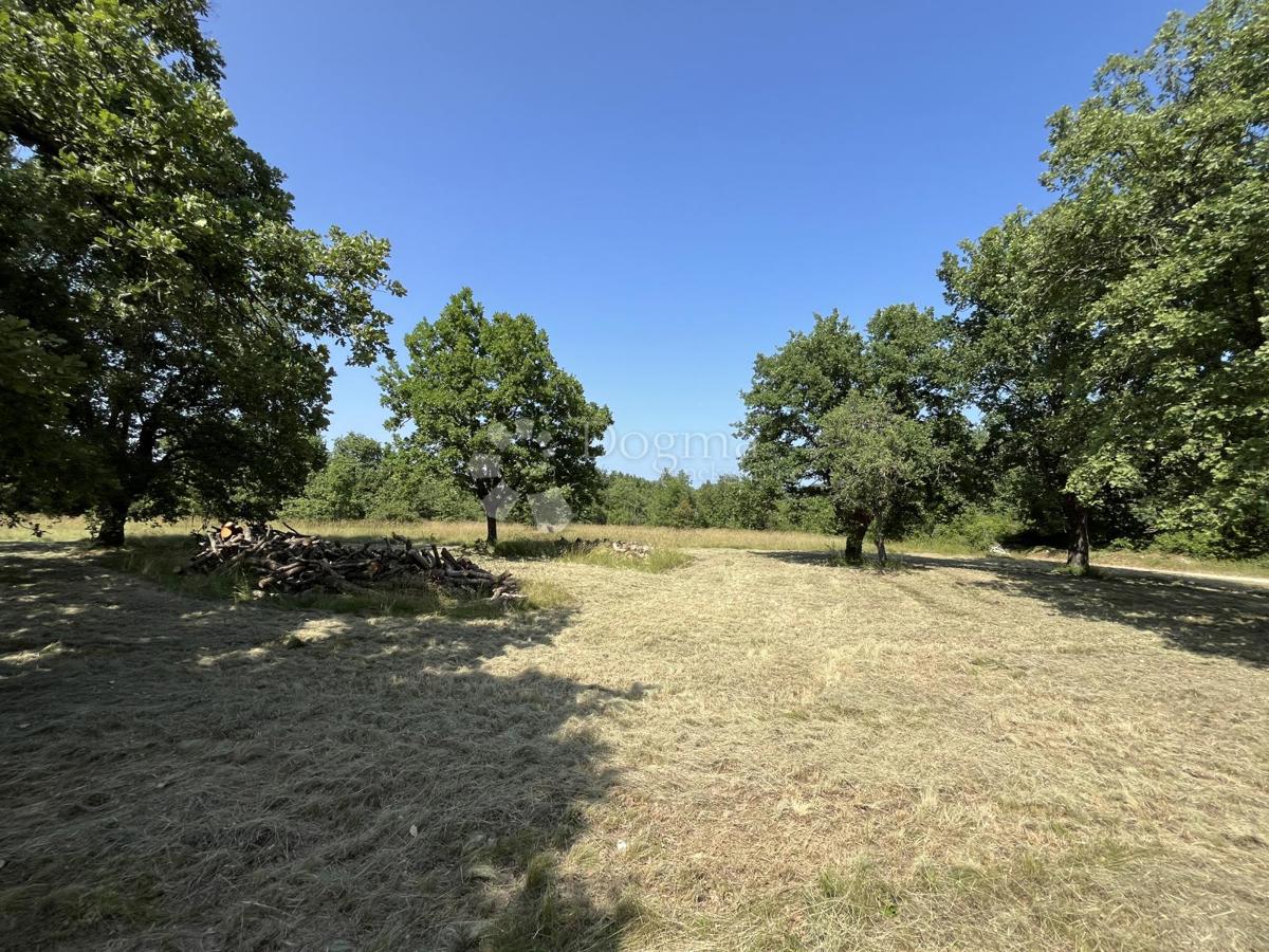 TERRENO CON PROGETTO PER LA COSTRUZIONE DI UNA CASA VICINO A VIŠNJAN