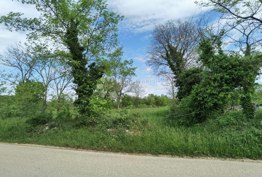 Terreno Sveti Ivan, Višnjan, 12.000m2