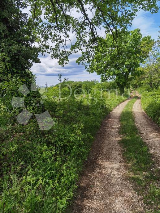 Terreno Sveti Ivan, Višnjan, 12.000m2