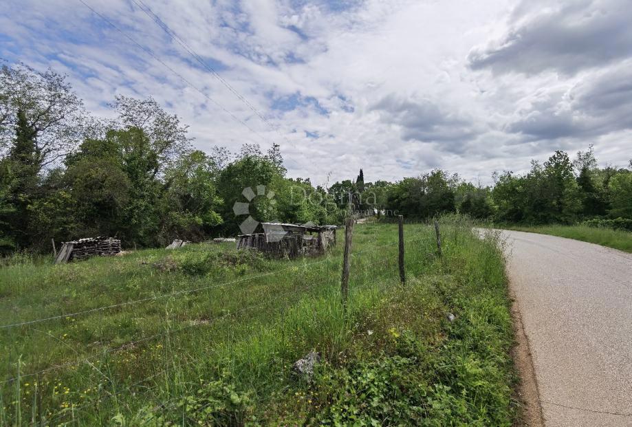 Terreno Sveti Ivan, Višnjan, 12.000m2