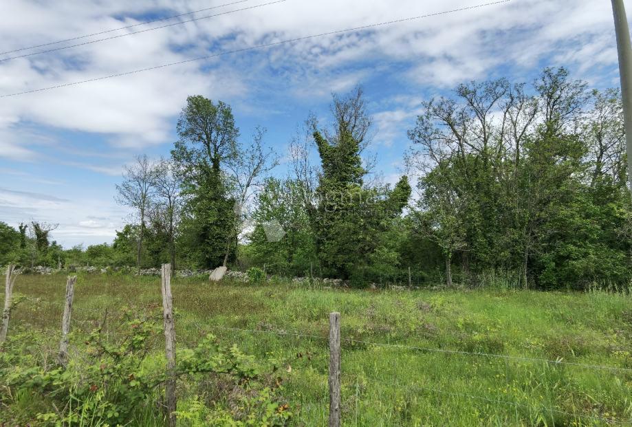 Terreno Sveti Ivan, Višnjan, 12.000m2