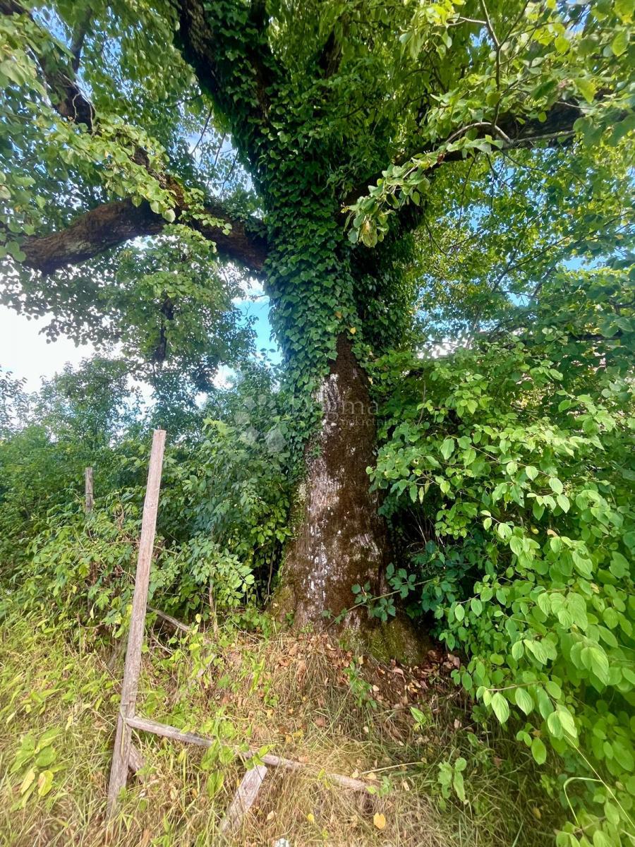Terreno edificabile Broćanac, Rakovica, 204.119m2