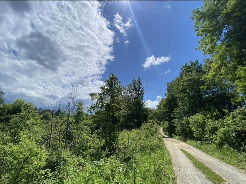 Terreno agricolo Donje Primišlje, Slunj, 262.000m2