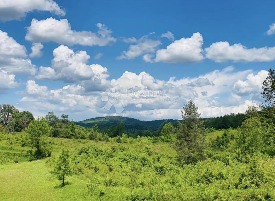 Terreno agricolo Donje Primišlje, Slunj, 262.000m2