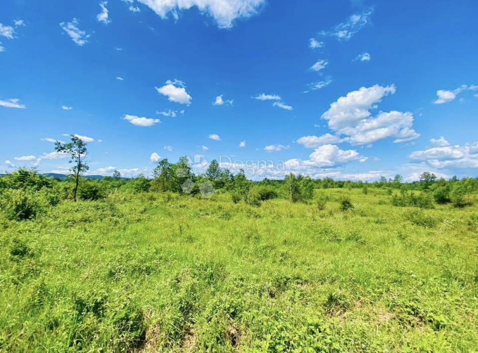 Terreno agricolo Donje Primišlje, Slunj, 262.000m2