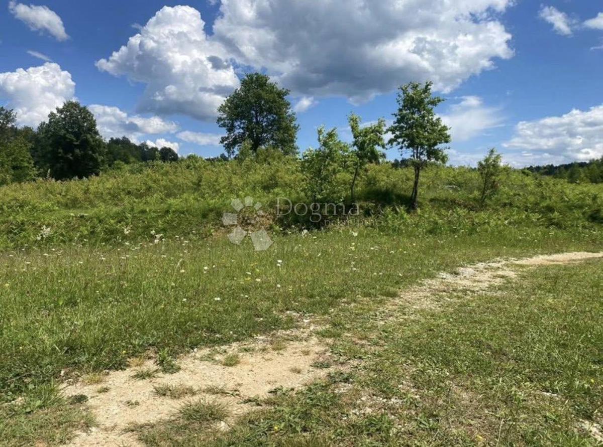 Terreno agricolo Donje Primišlje, Slunj, 262.000m2