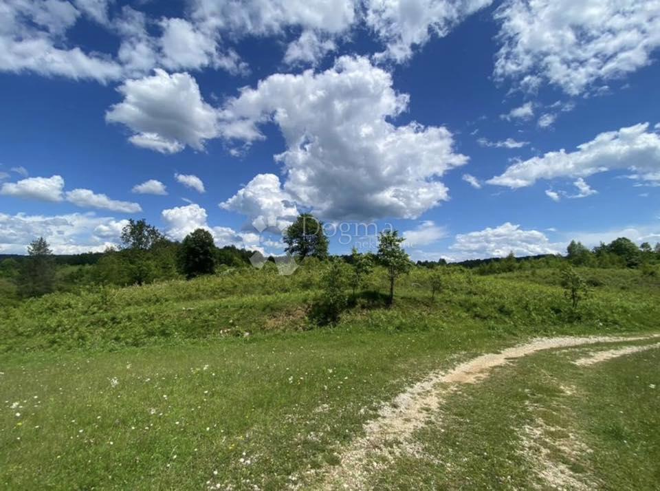 Terreno agricolo Donje Primišlje, Slunj, 262.000m2