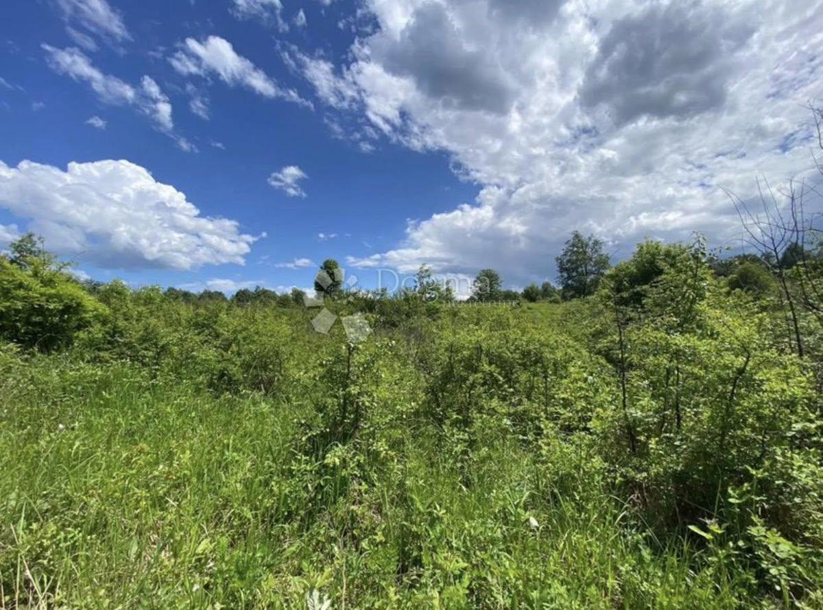 Terreno agricolo Donje Primišlje, Slunj, 262.000m2
