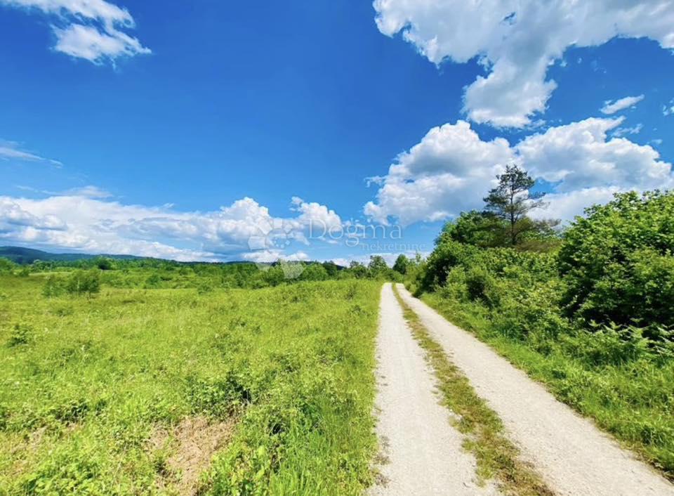Terreno agricolo Donje Primišlje, Slunj, 262.000m2