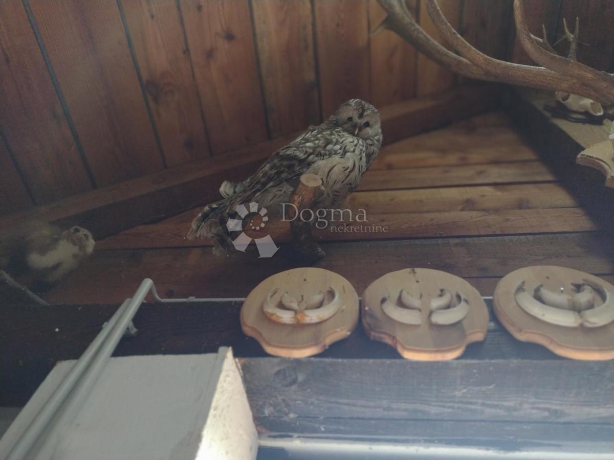 Casa Svinica, Majur, 103m2