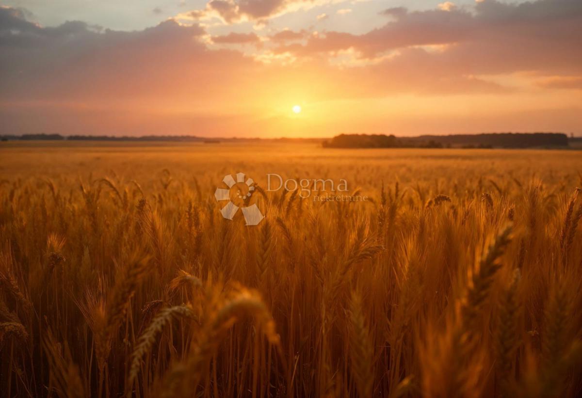 Terreno agricolo Donji Trpuci, Brezovica, 3.663m2