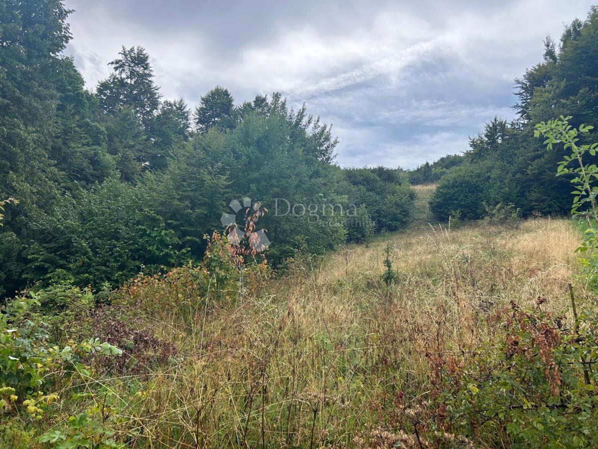 Terreno edificabile Brestova Draga, Mrkopalj, Stara Cesta bb, 4.100m2