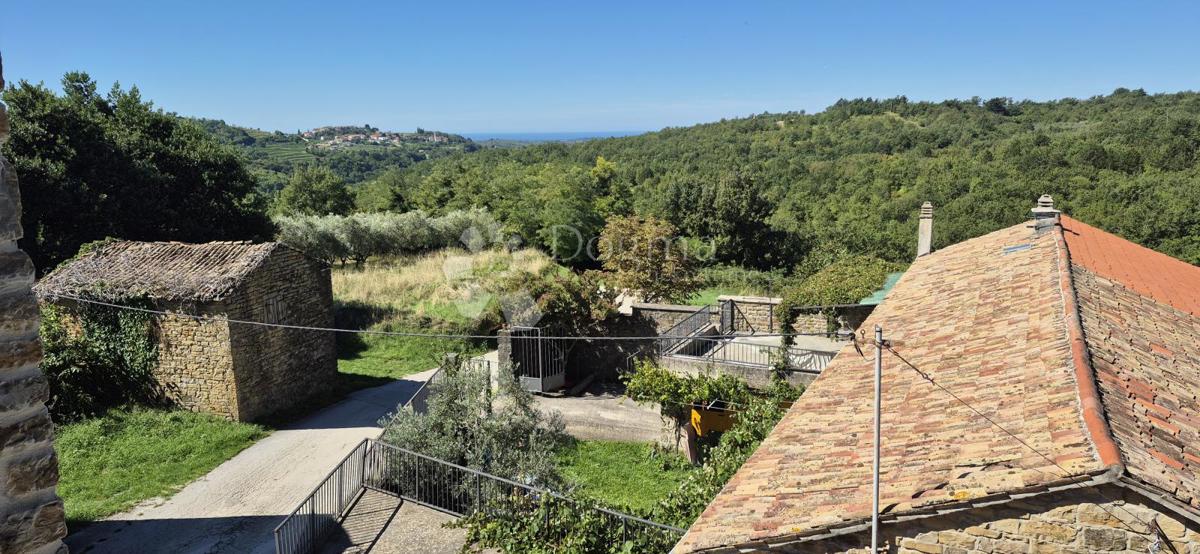 Casa in pietra ristrutturata vicino a Momiano