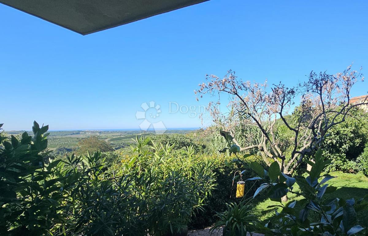 Eleganza, brutalismo e architettura istriana con vista panoramica