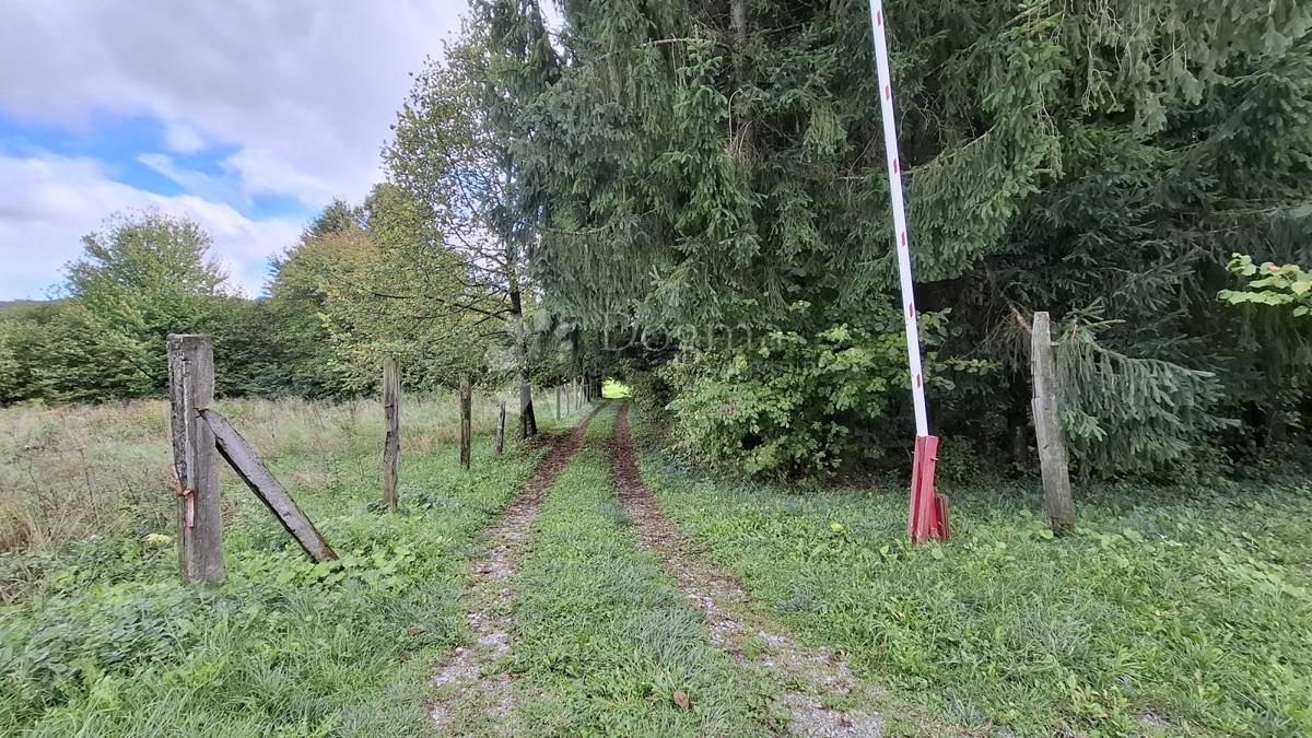 Terreno edificabile Hajdine, Vrbovsko, 6.318m2