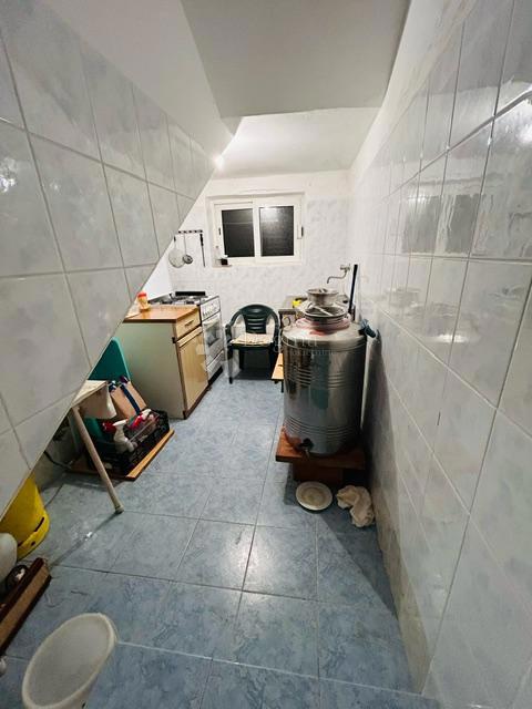 Casa Palit, Rab, 141m2