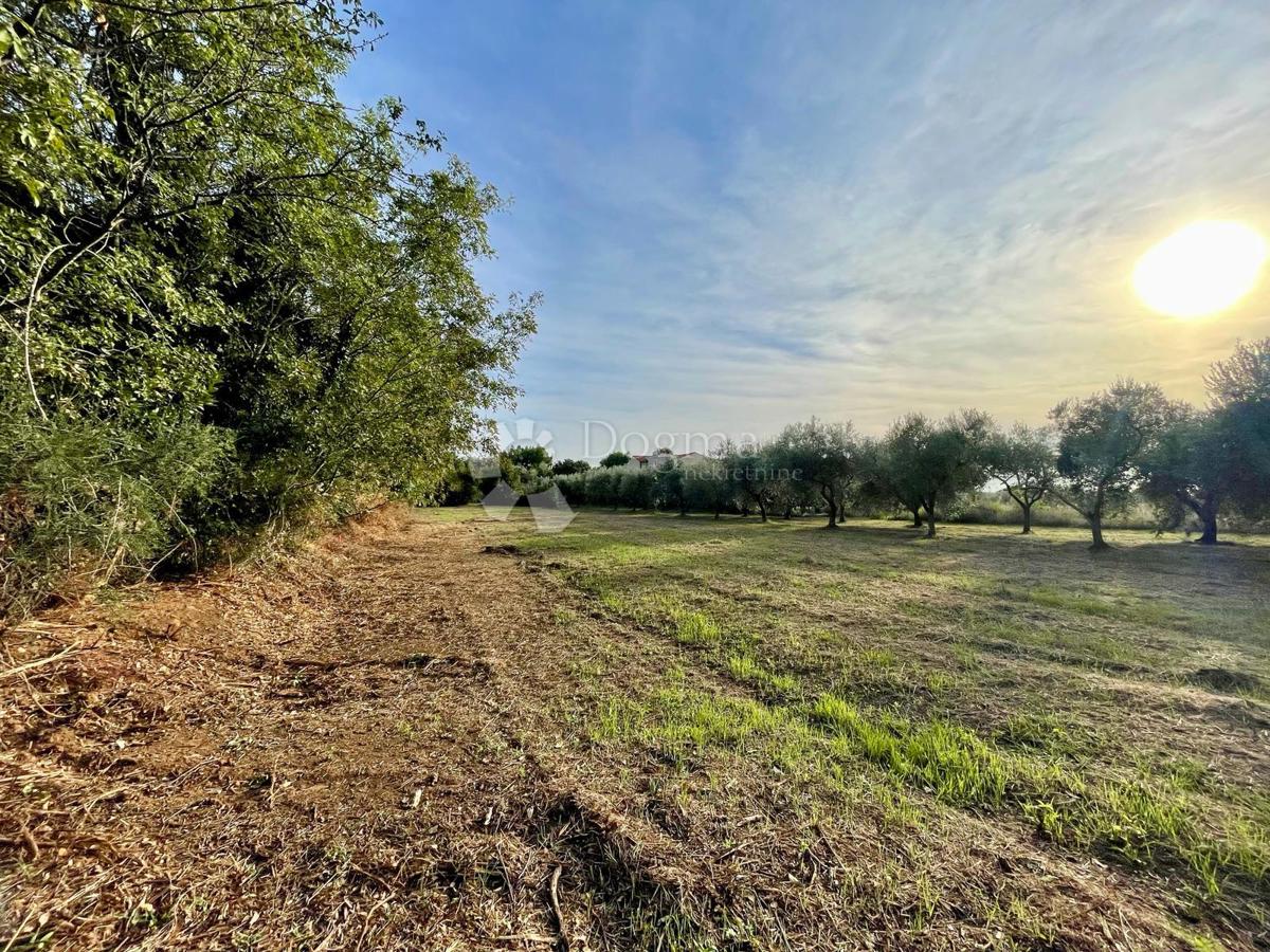 Fantastico terreno a Premantura