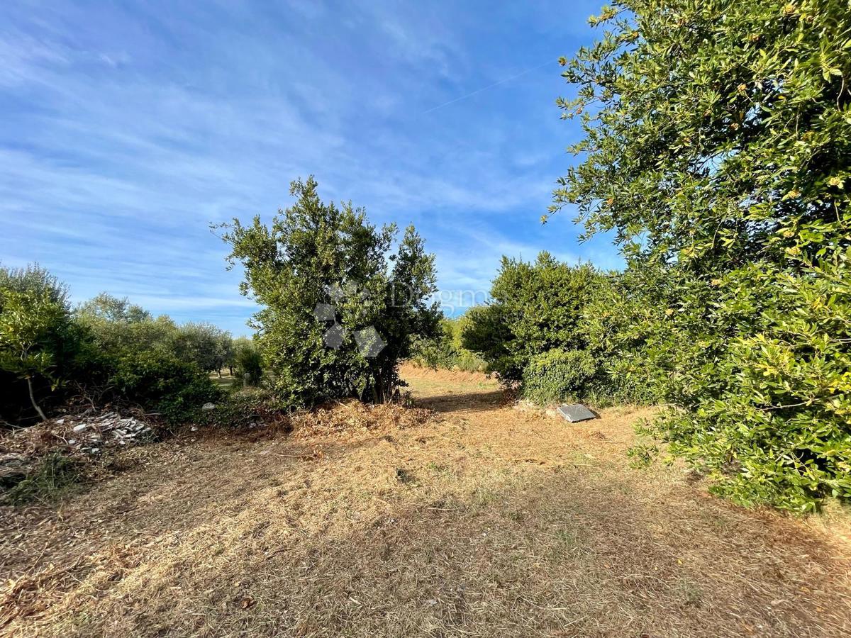 Fantastico terreno a Premantura