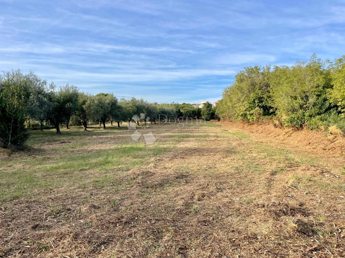 Fantastico terreno a Premantura