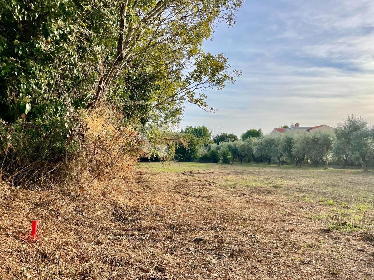 Fantastico terreno a Premantura