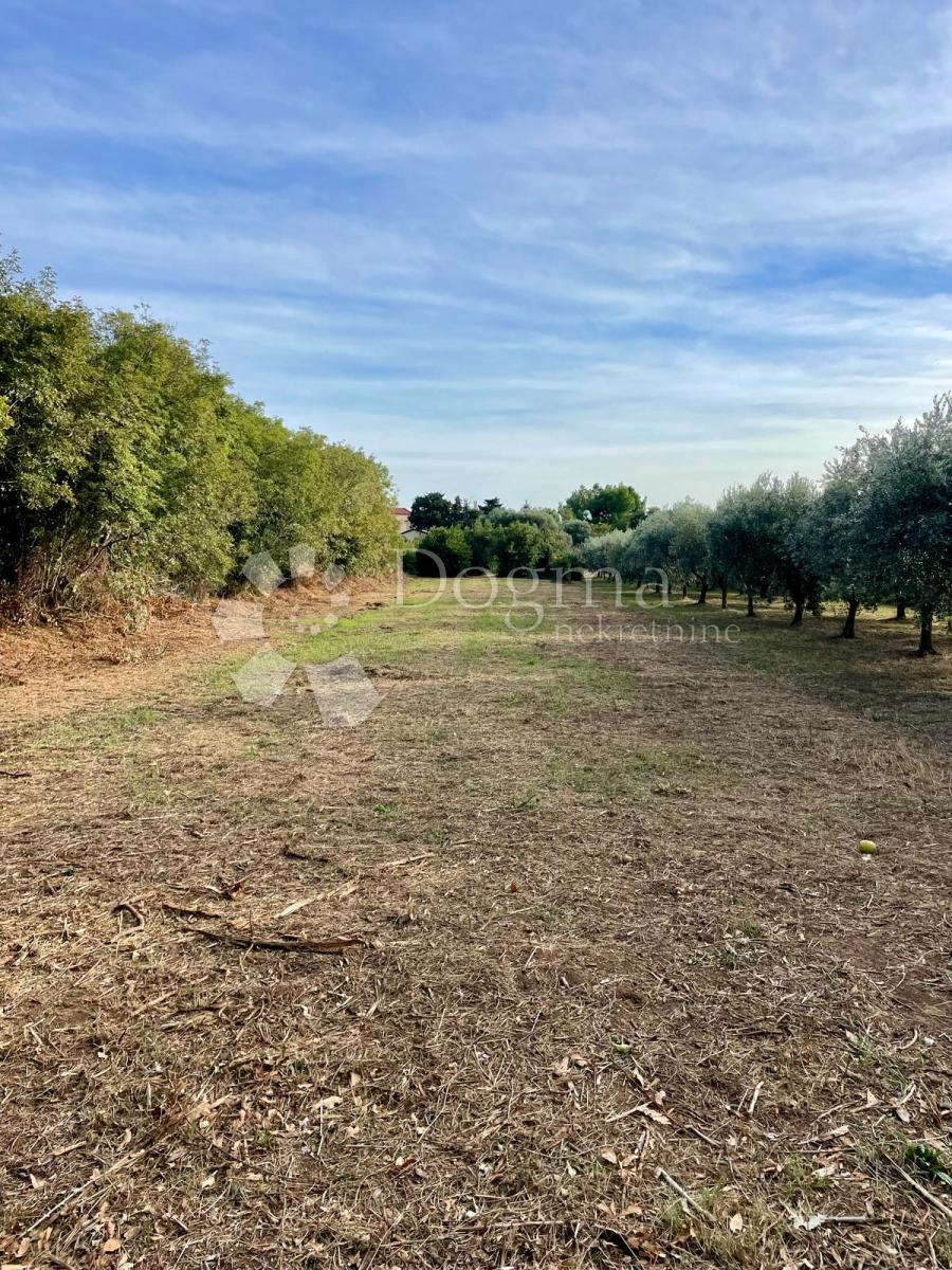 Fantastico terreno a Premantura