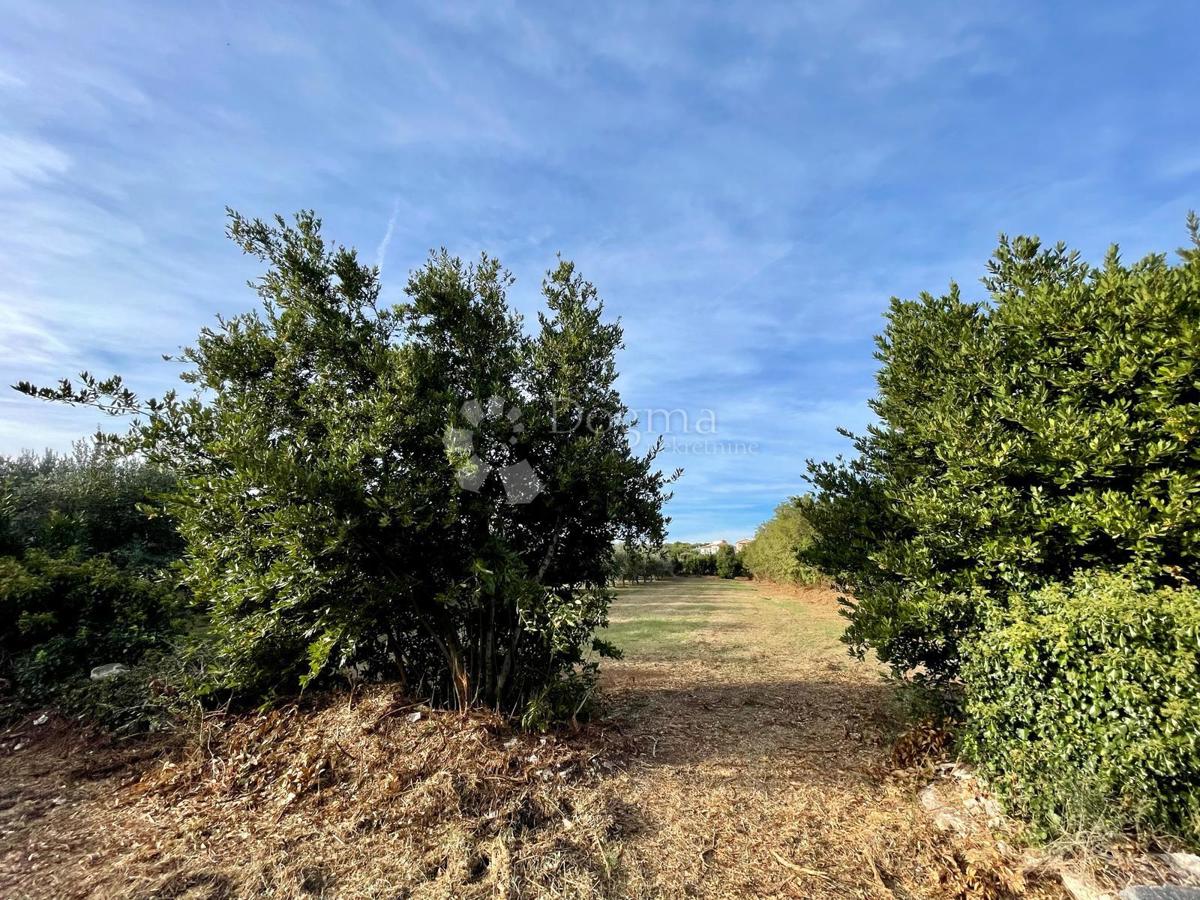 Fantastico terreno a Premantura