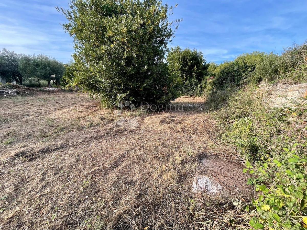 Fantastico terreno a Premantura