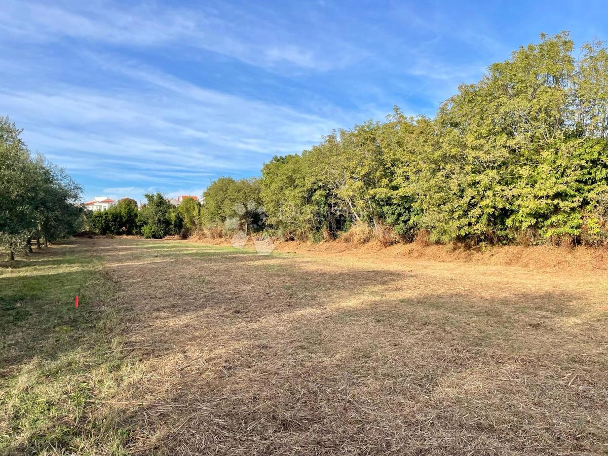 Fantastico terreno a Premantura