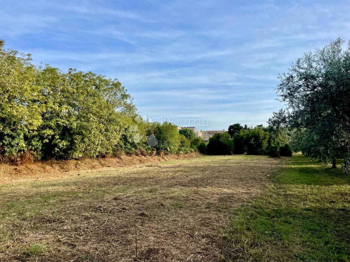 Fantastico terreno a Premantura