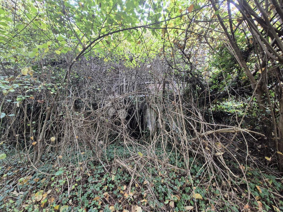 Terreno agricolo Jazbina, Desinić, 133.795m2