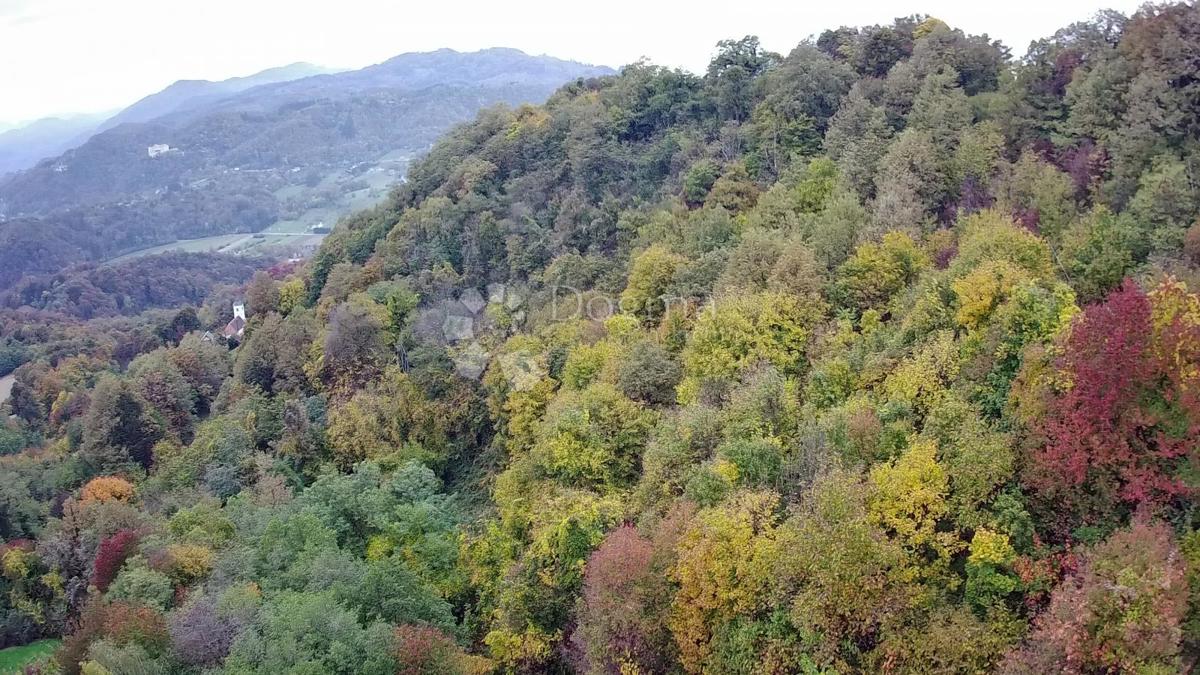 Terreno agricolo Jazbina, Desinić, 133.795m2