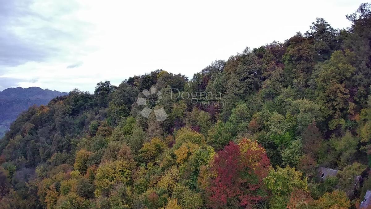 Terreno agricolo Jazbina, Desinić, 133.795m2