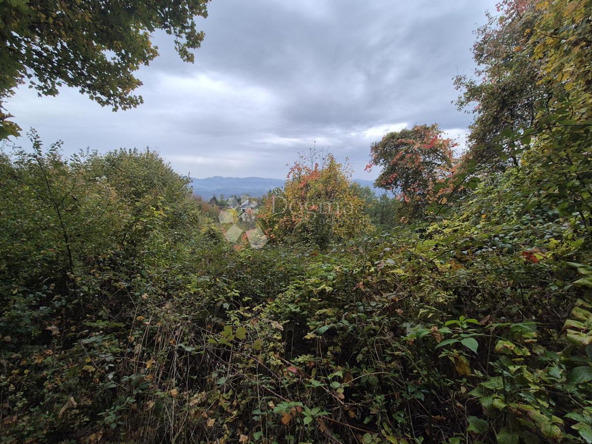 Terreno agricolo Jazbina, Desinić, 133.795m2