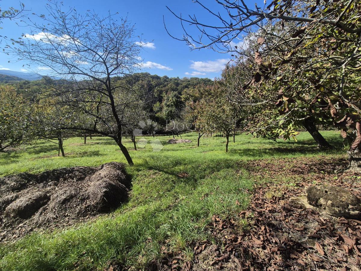 Casa Repićevo Selo, Gornja Stubica, 45m2