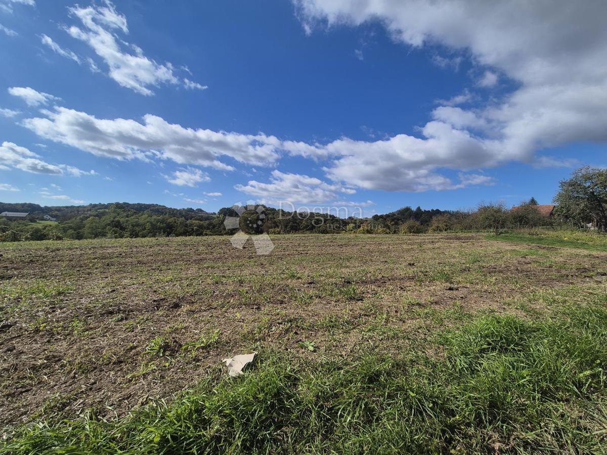 Casa Repićevo Selo, Gornja Stubica, 45m2