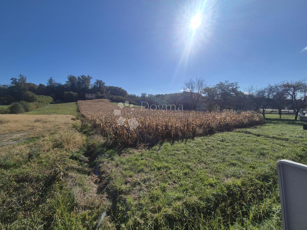 Terreno edificabile Jakovlje, 4.266m2