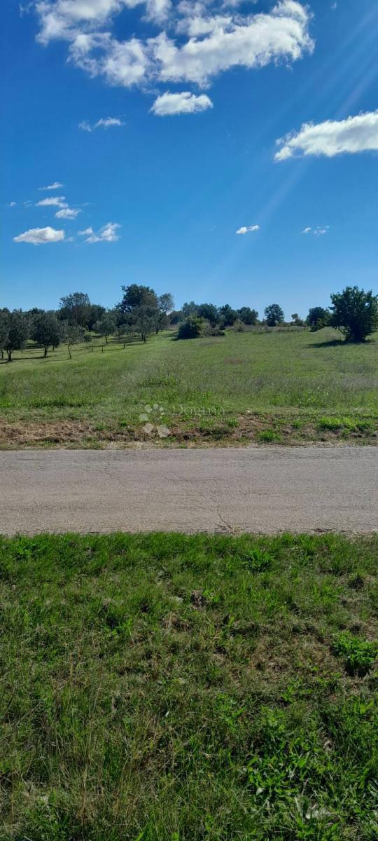 Terreno agricolo in posizione tranquilla