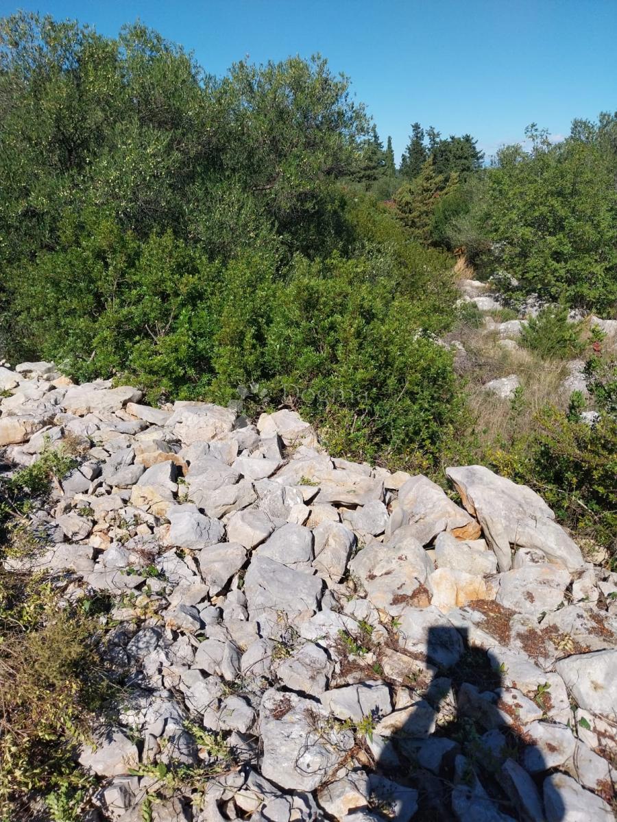 Terreno edificabile Božava, Sali, 581m2
