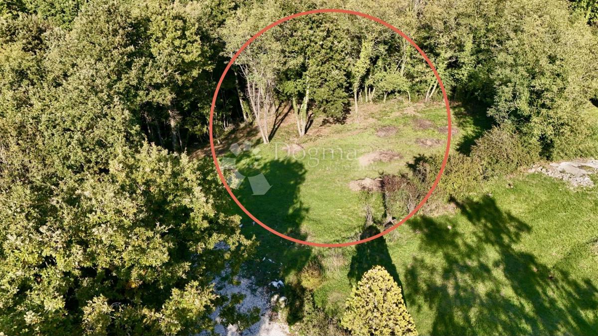 Bellissimo terreno ai margini della zona di costruzione!!