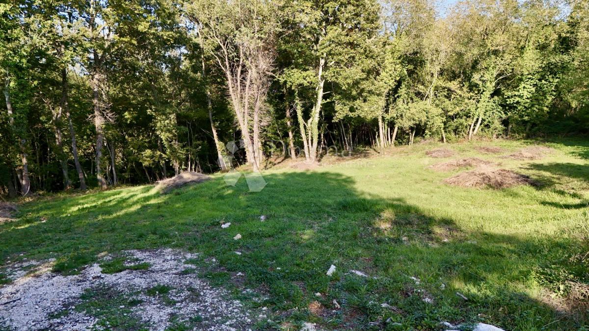 Bellissimo terreno ai margini della zona di costruzione!!