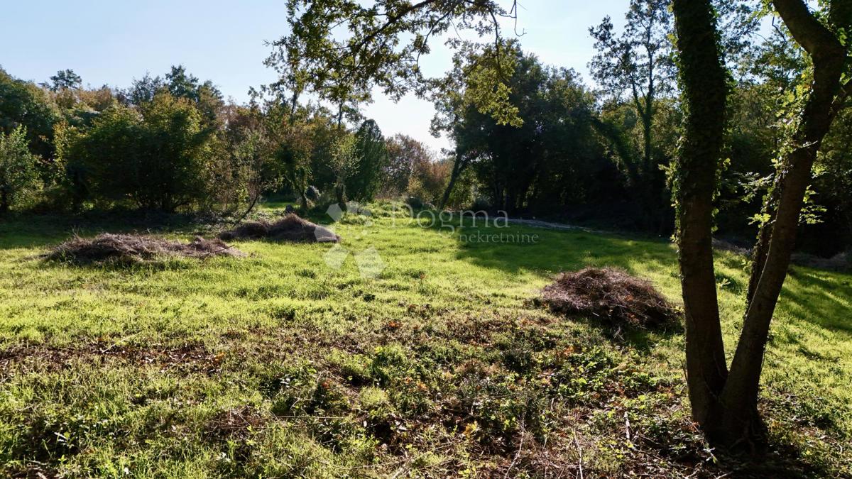 Bellissimo terreno ai margini della zona di costruzione!!