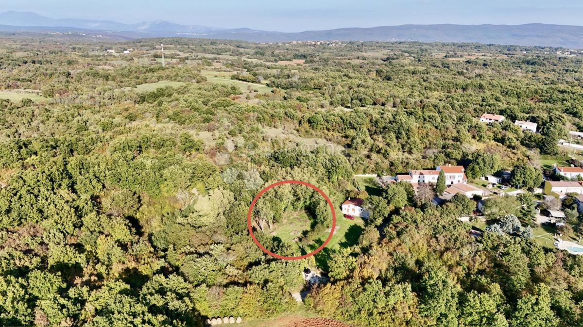 Bellissimo terreno ai margini della zona di costruzione!!