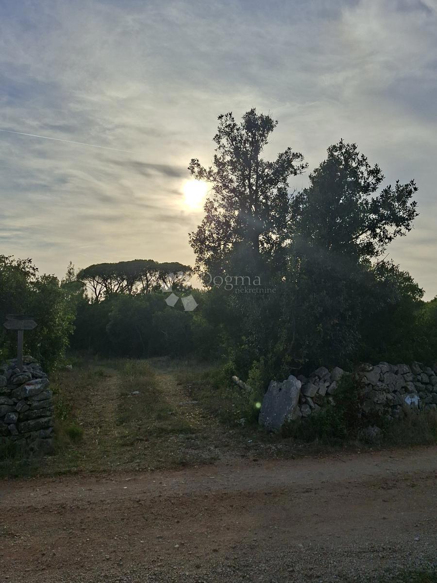 Terreno agricolo Močići, Konavle, 22.800m2