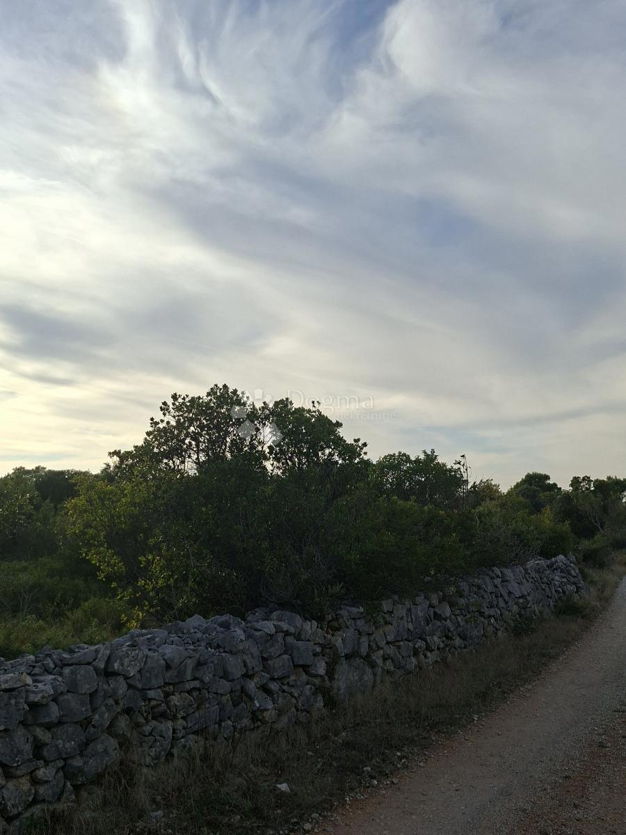 Terreno agricolo Močići, Konavle, 22.800m2