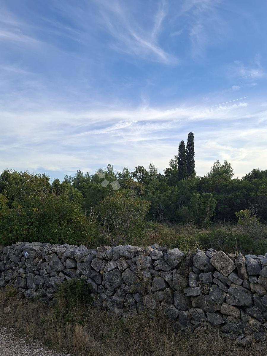 Terreno agricolo Močići, Konavle, 22.800m2