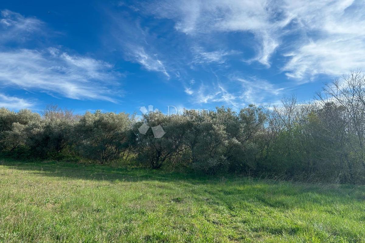 Terreno Mrgani, Kanfanar, 2.593m2