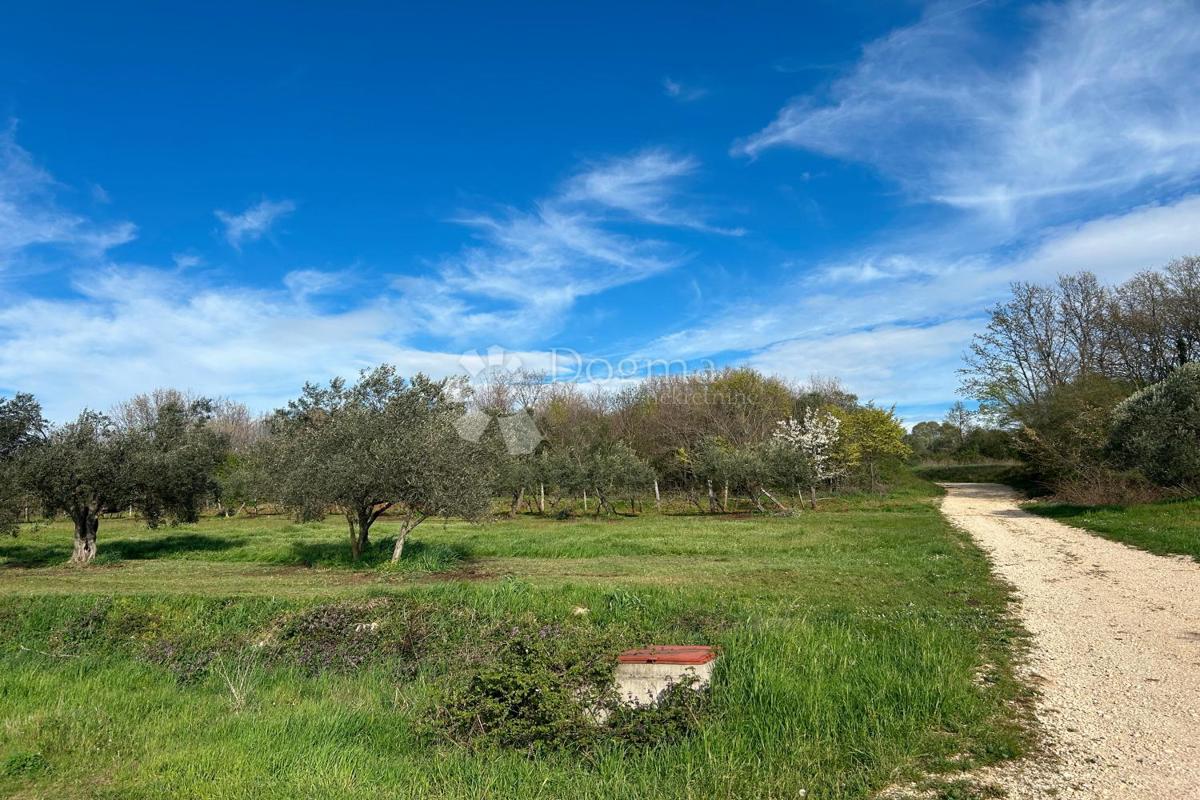 Terreno Mrgani, Kanfanar, 2.593m2