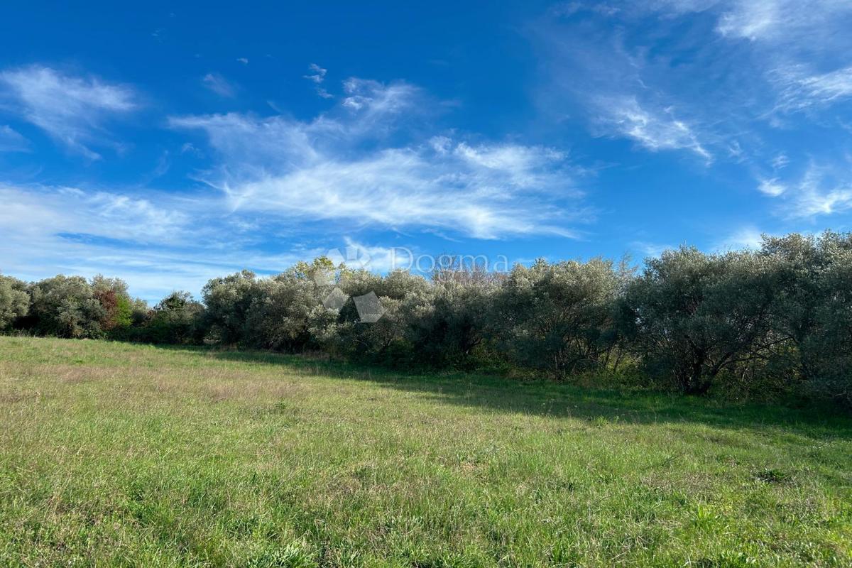 Terreno Mrgani, Kanfanar, 2.593m2