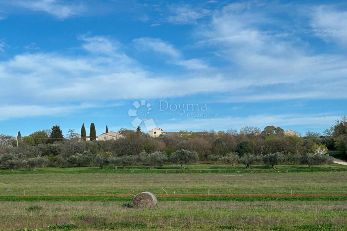 Terreno Mrgani, Kanfanar, 2.593m2